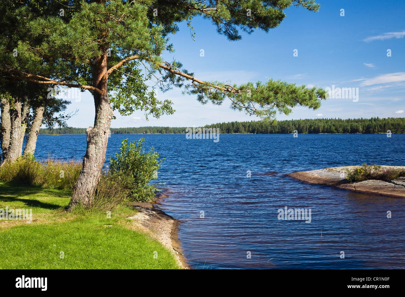 Lake Bysjoen, Smaland, South Sweden, Scandinavia, Europe Stock Photo