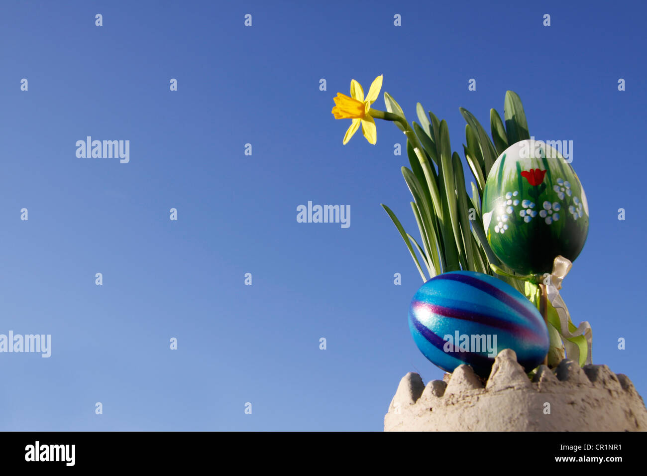 Easter decorations, daffodils and Easter eggs Stock Photo Alamy