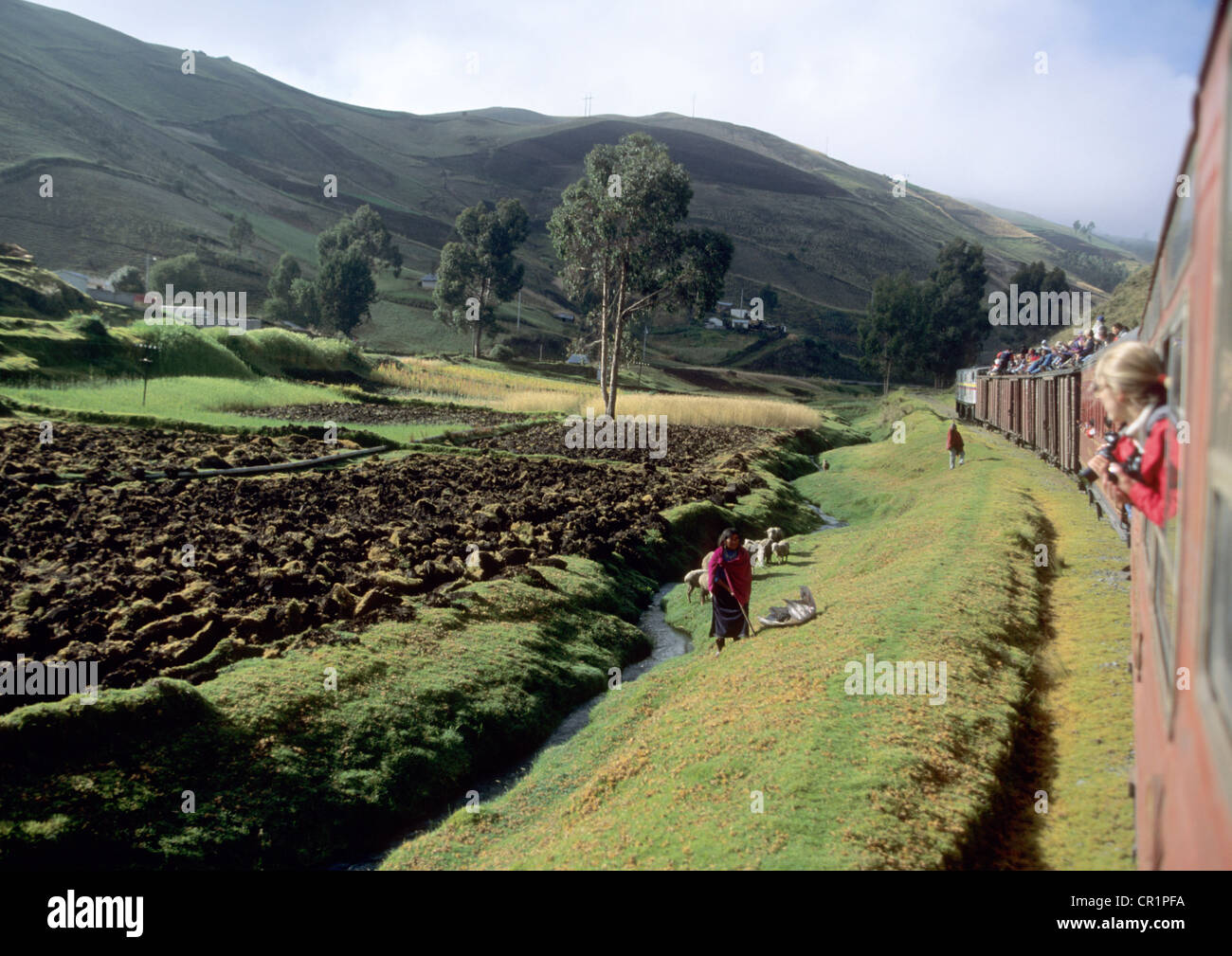 Ecuador, Chimborazo Province, the Central Cordillera, the Volcanoes Avenue, the train of the Andes from Riobamba to Alausi Stock Photo
