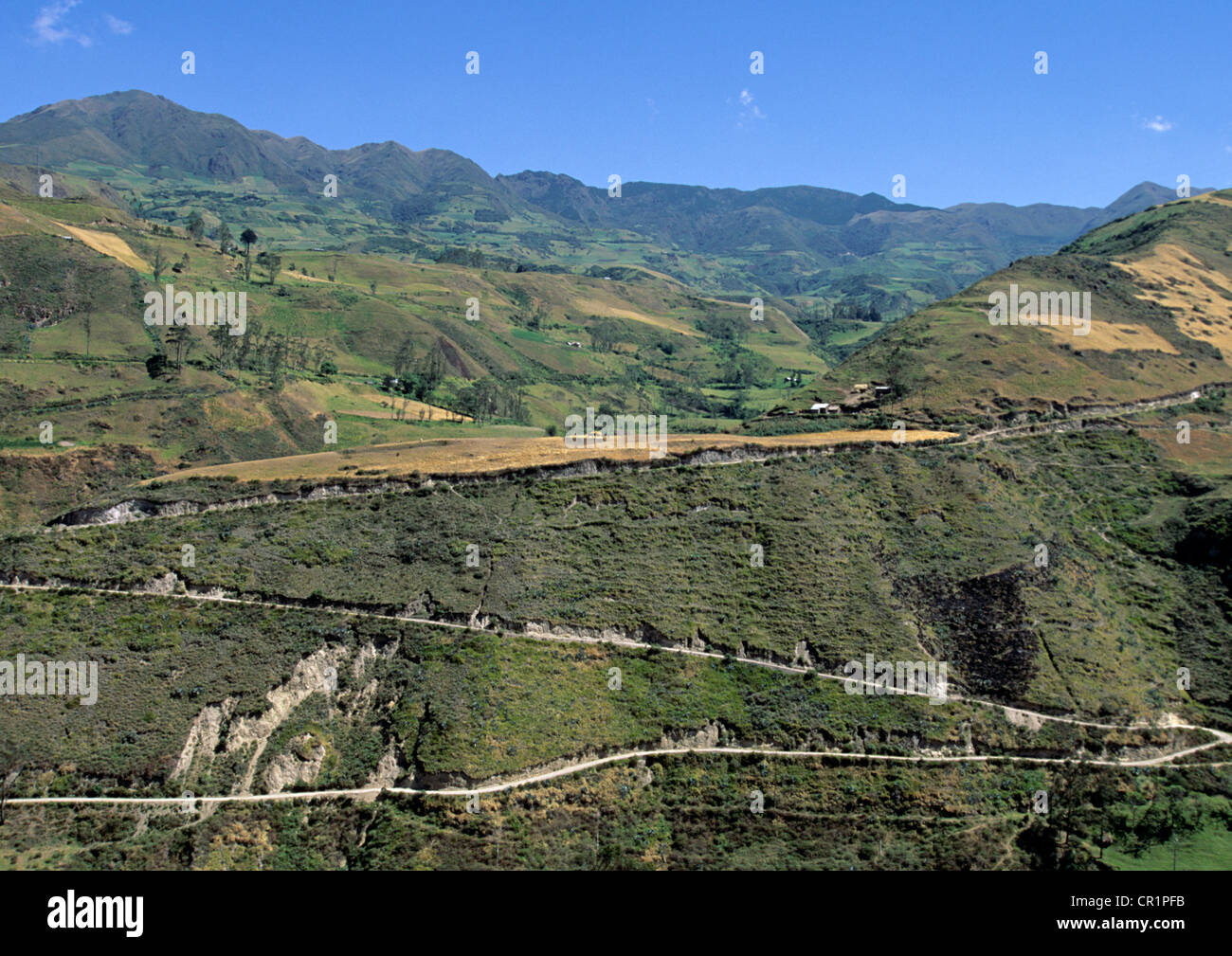 Ecuador, Chimborazo Province, the Central Cordillera, the Volcanoes Avenue, landscape between Riobamba and Alausi Stock Photo