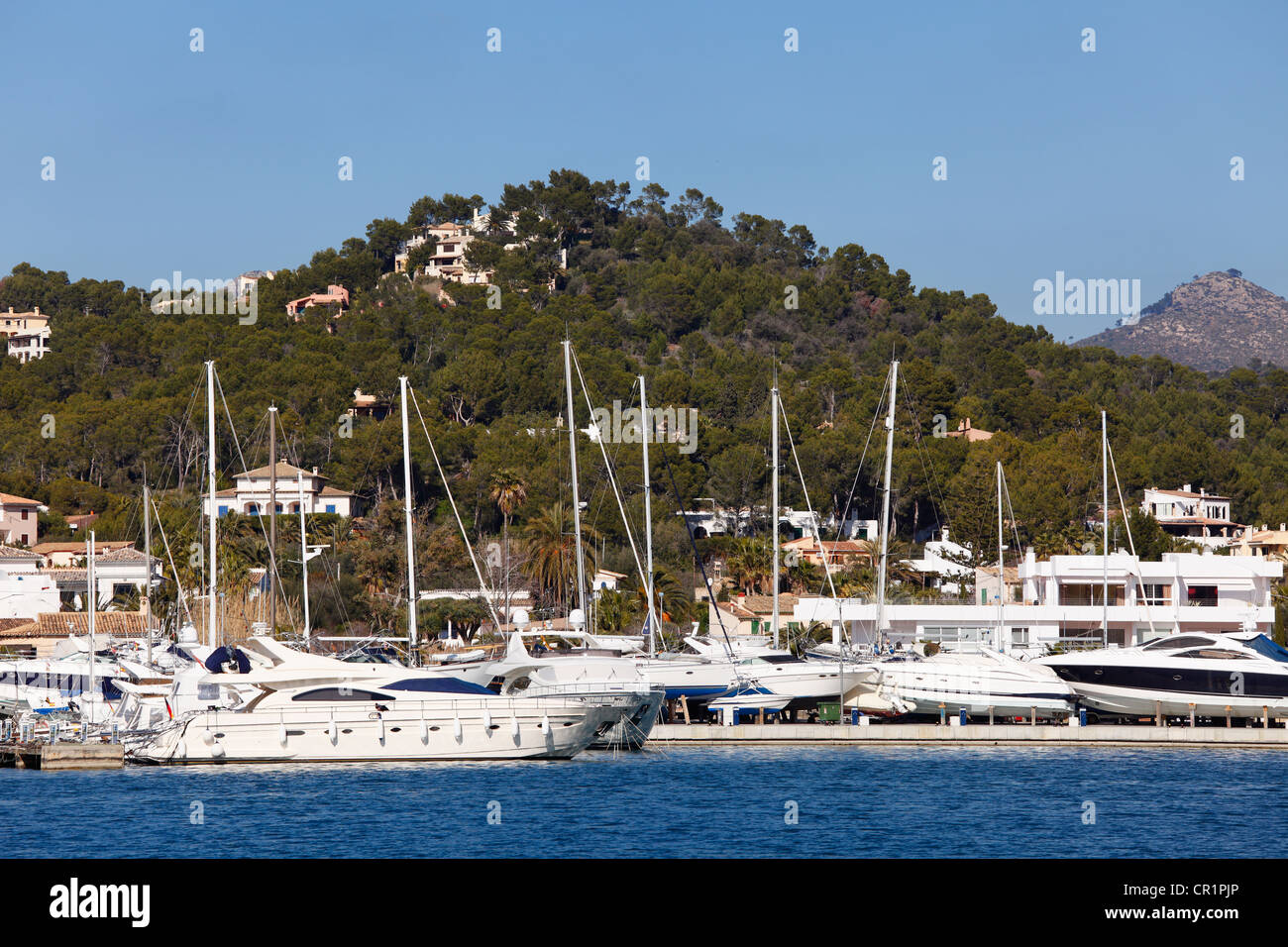 Port d'Andratx harbour, Majorca, Mallorca, Balearic Islands, Spain, Europe Stock Photo