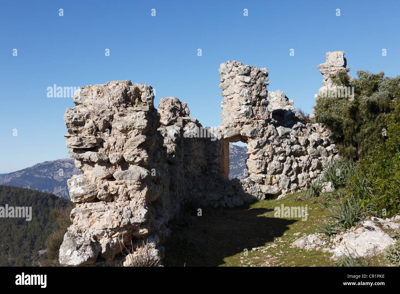 Castillo de Alaro castle ruin, Puig de Alaro mountain, Majorca, Mallorca, Balearic Islands, Spain, Europe Stock Photo