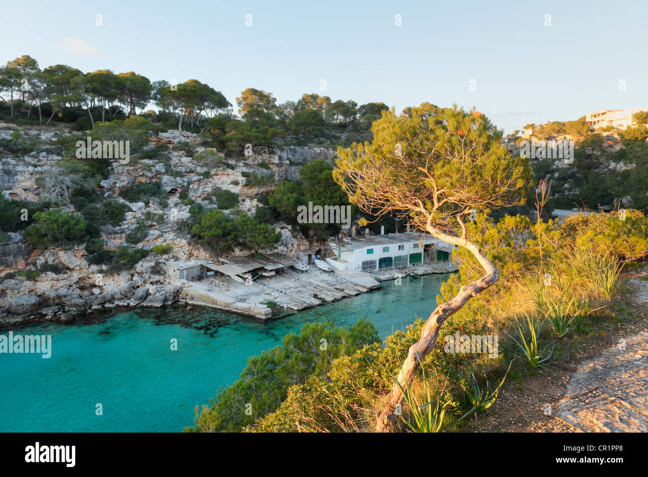 Cala Pi, Majorca, Balearic Islands, Spain, Europe Stock Photo