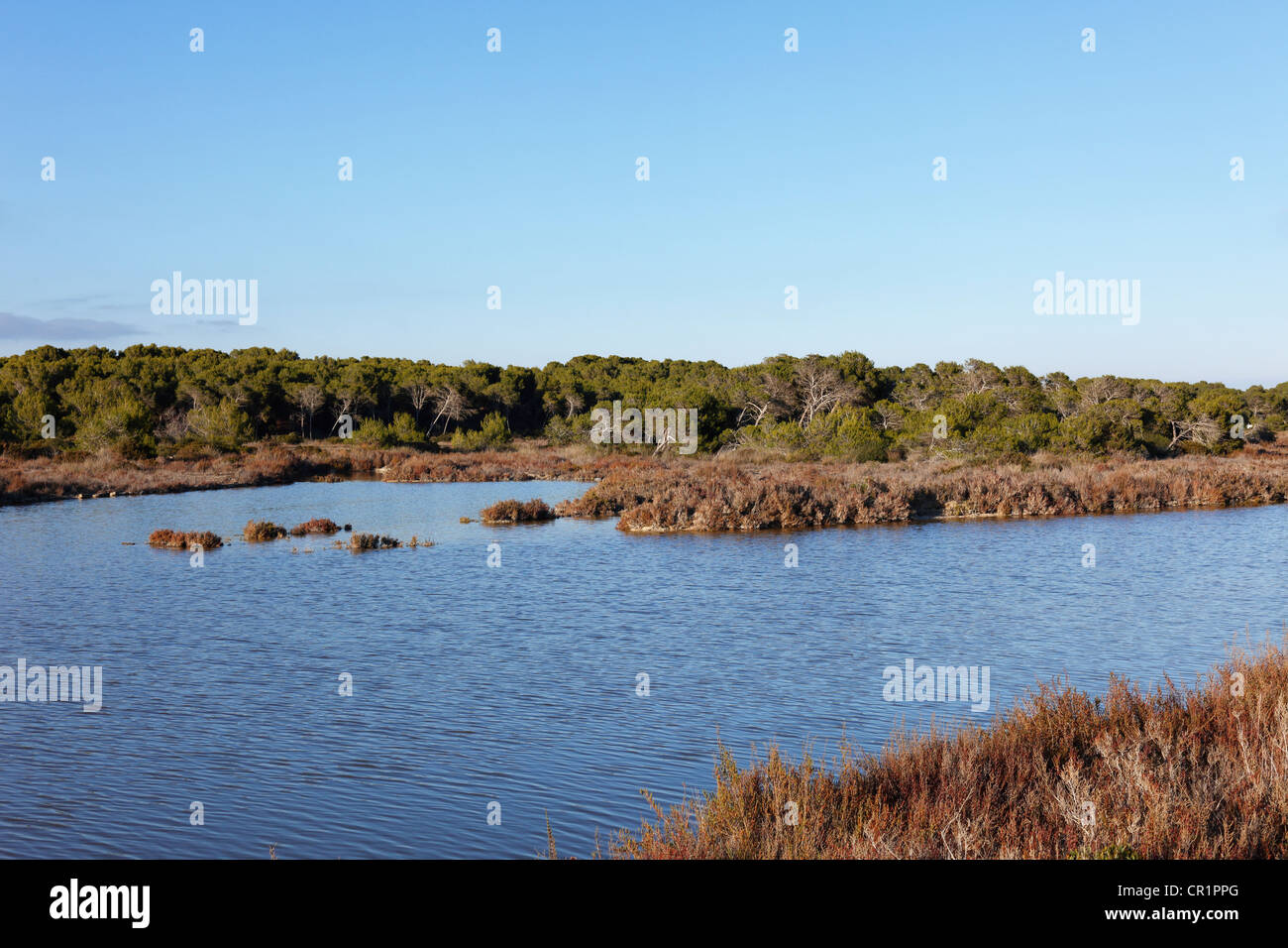 Brackish water between Salines de Levante and es Trenc, Majorca, Balearic Islands, Spain, Europe Stock Photo
