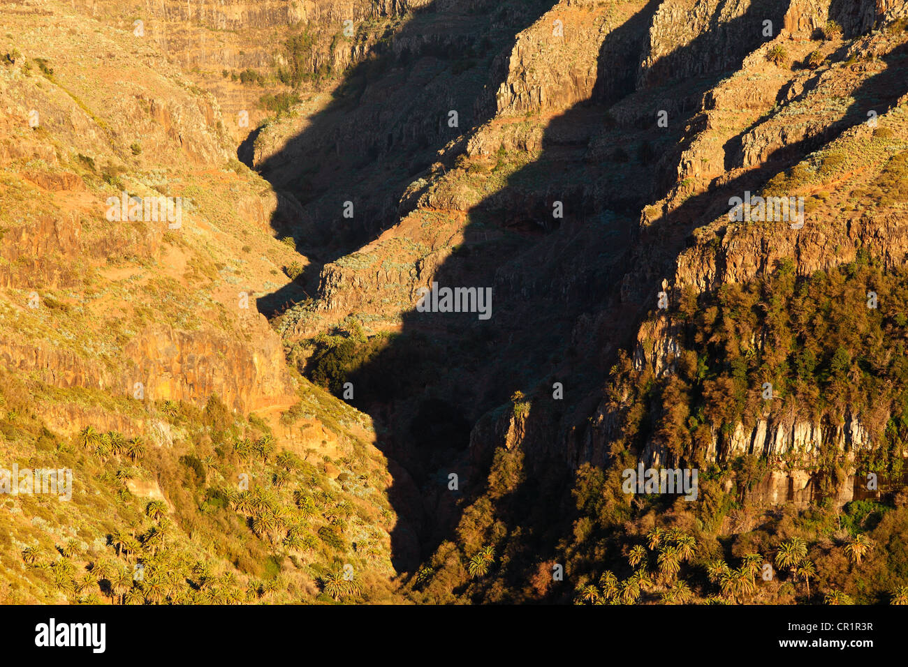 Barranco del Agua canyon, upper Valle Gran Rey valley, La Gomera island, Canary Islands, Spain, Europe Stock Photo