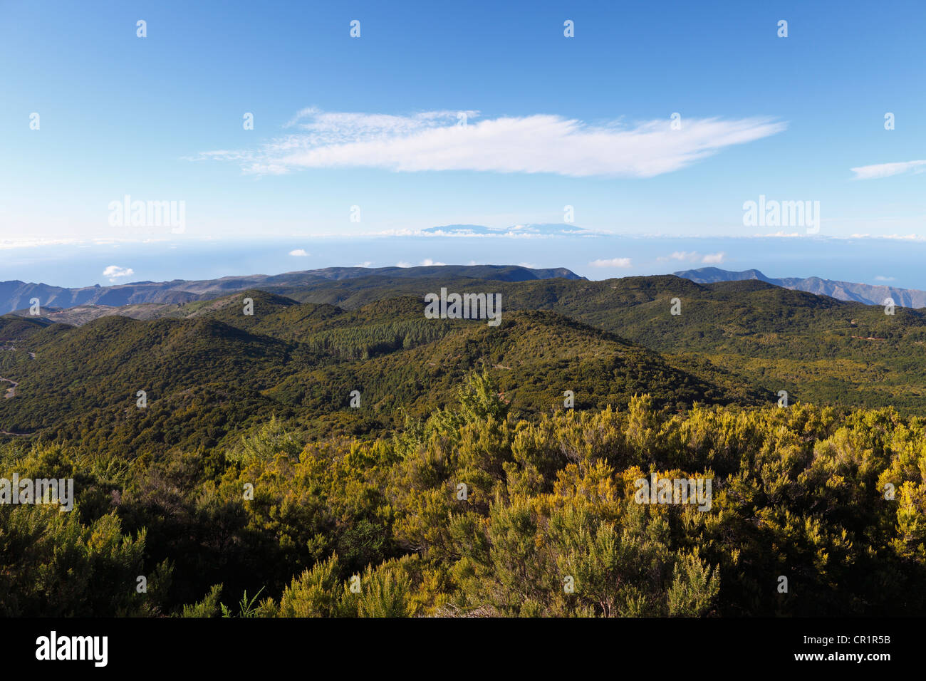 Wooded hills in the Garajonay National Park, view from Garajonay mountain, highest peak of La Gomera island Stock Photo