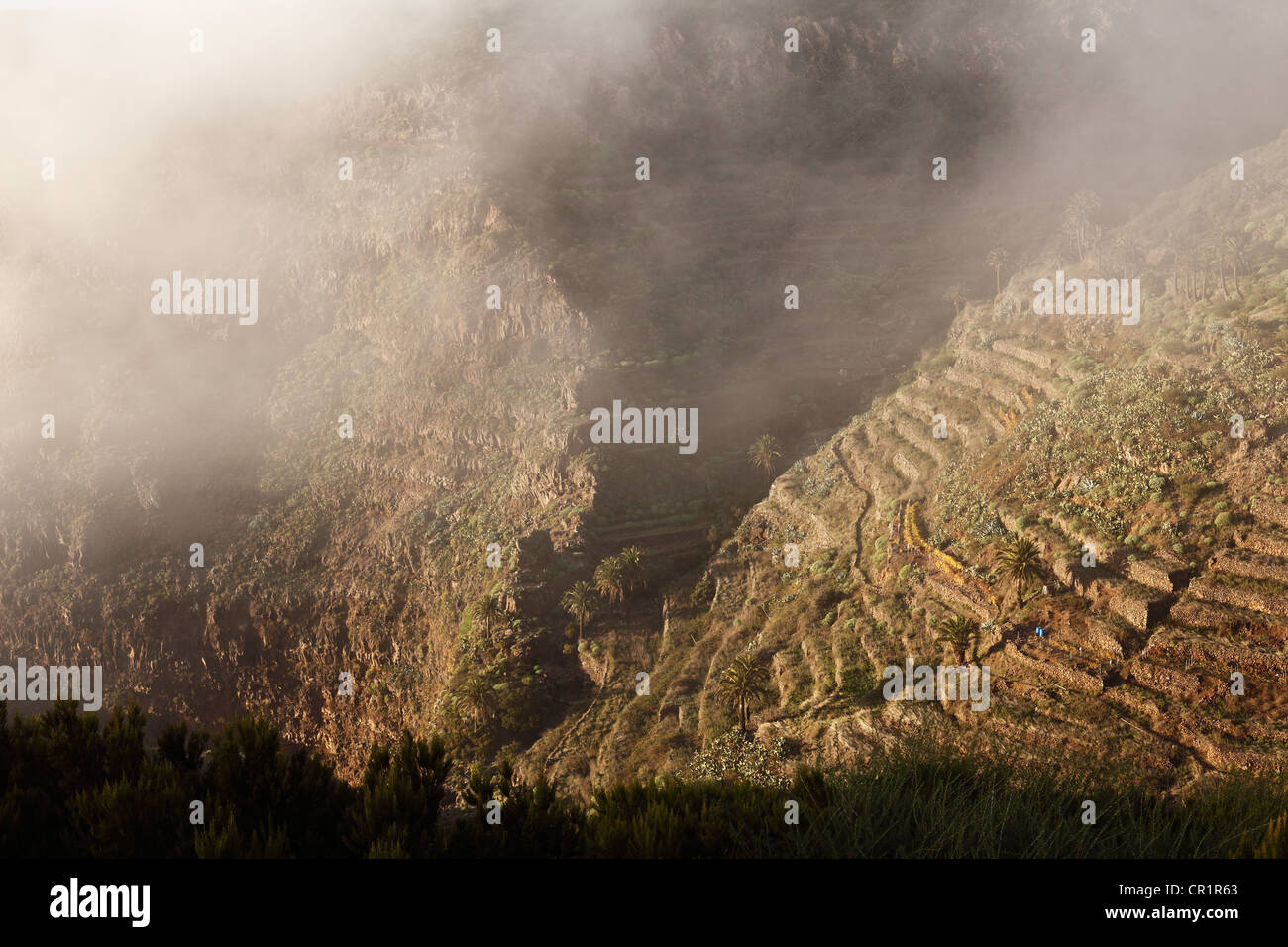 Mist rolling into the Valle Gran Rey, La Gomera, Canary Islands, Spain, Europe Stock Photo