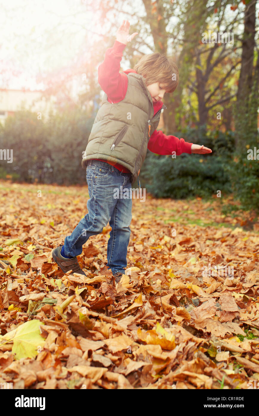 Boy playing in autumn leaves Stock Photo