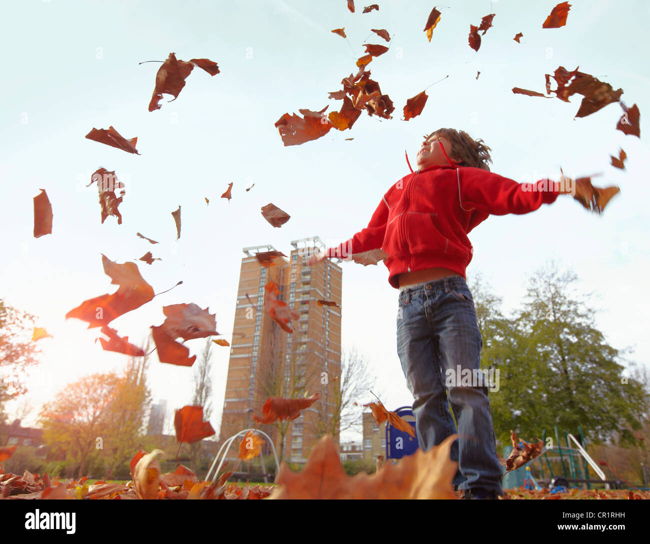 Boy playing with autumn leaves Stock Photo - Alamy