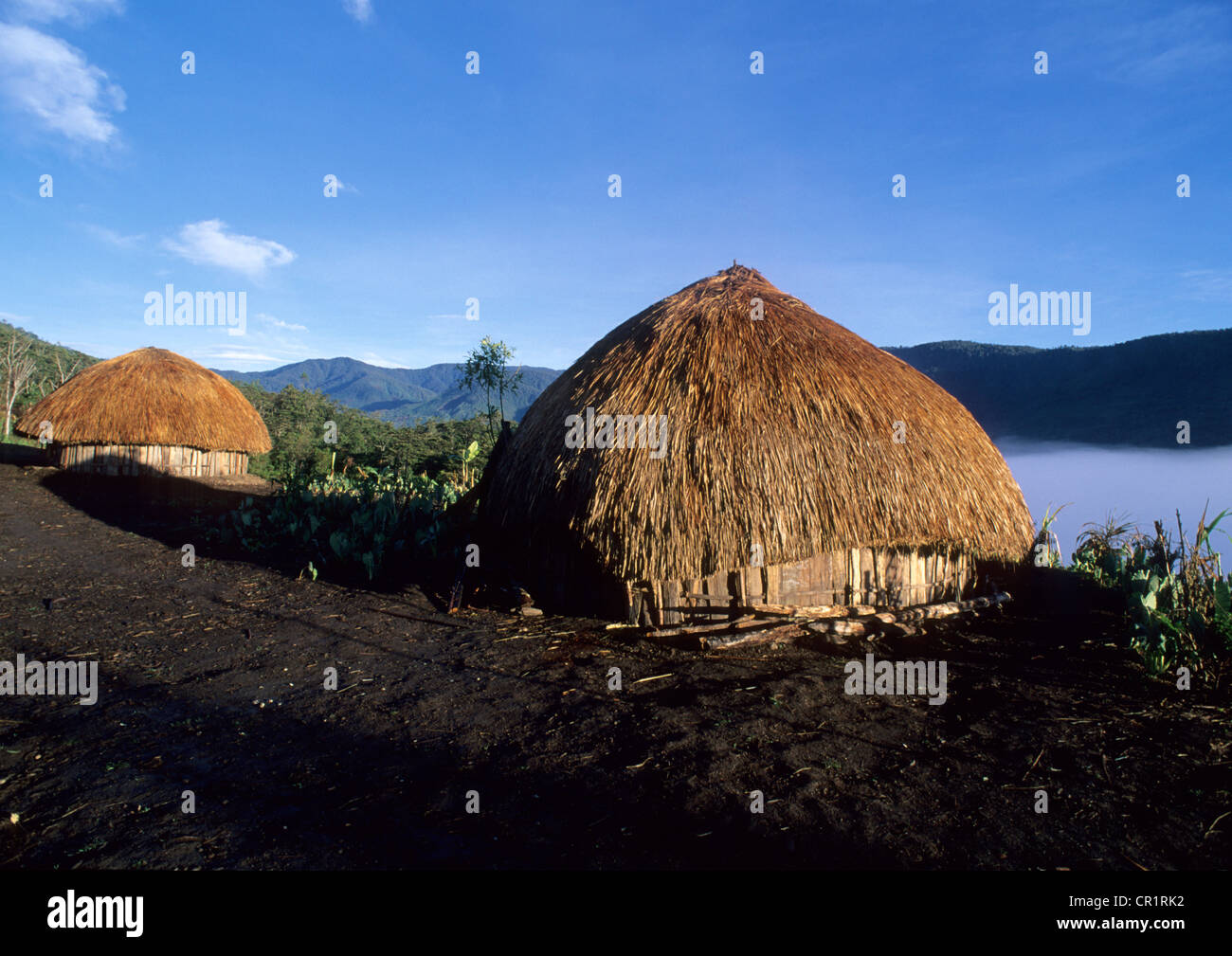 Indonesia, Irian Jaya, Baliem valley , region of Wamena, papou's huts Stock Photo