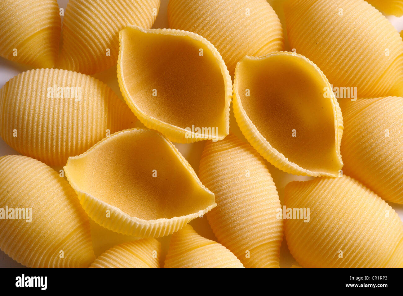 Shell noodles, eggbased pasta Stock Photo Alamy