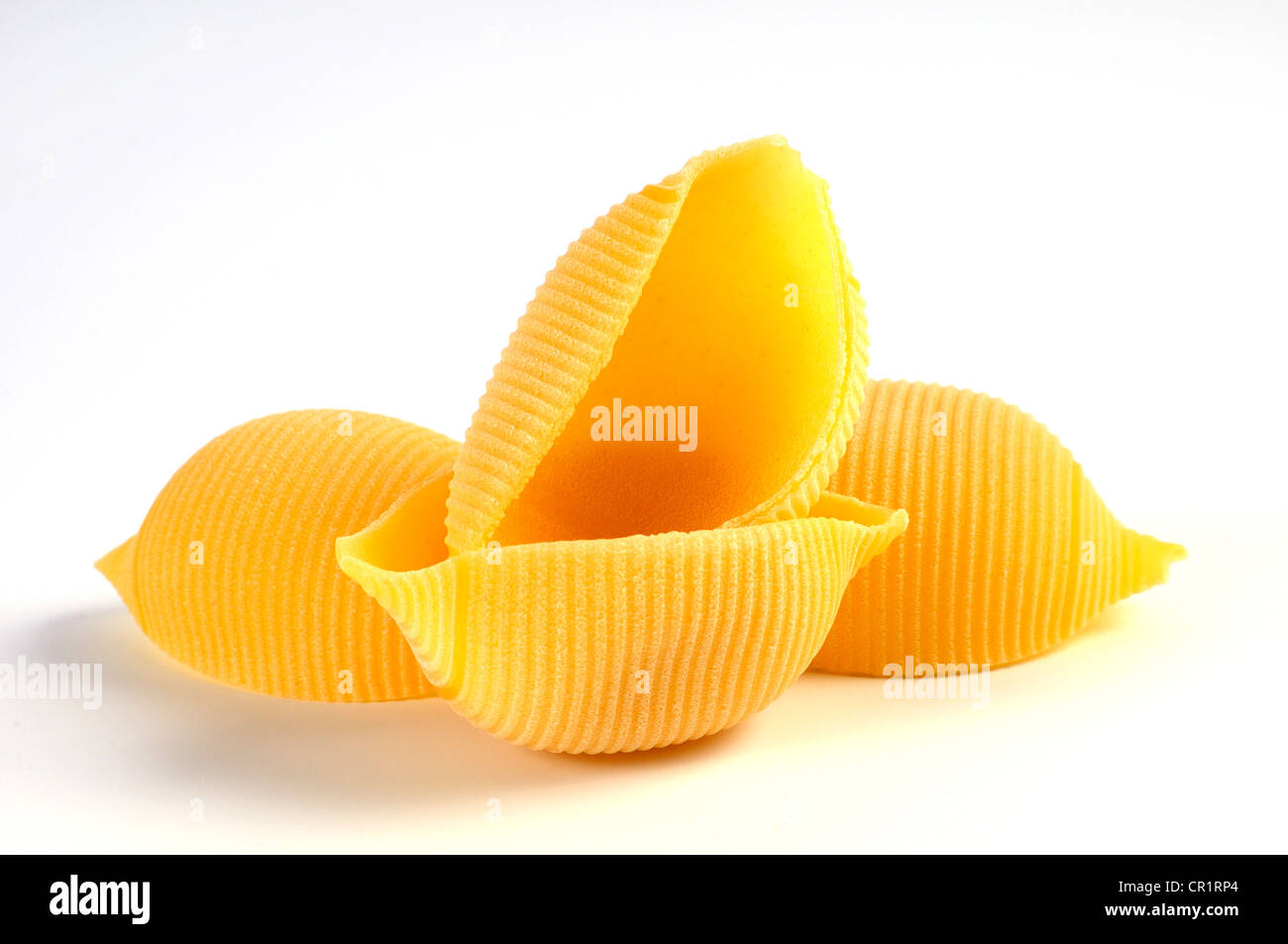 Shell noodles, eggbased pasta Stock Photo Alamy