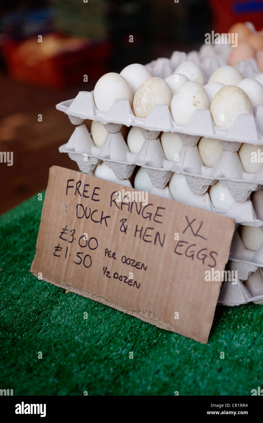 Free range eggs for sale Stock Photo Alamy