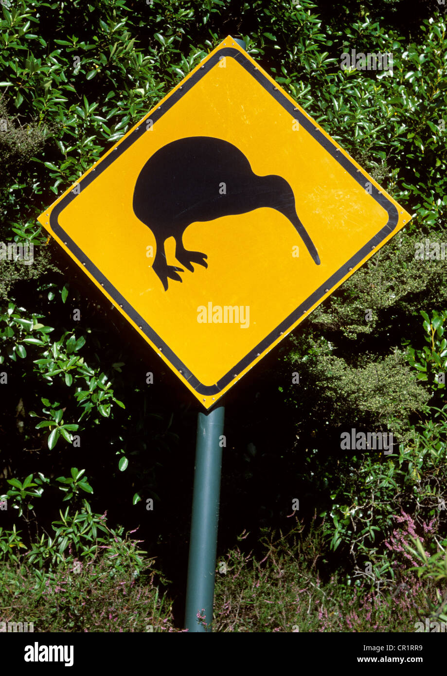 New Zealand, North Island, road sign of Kiwi Stock Photo