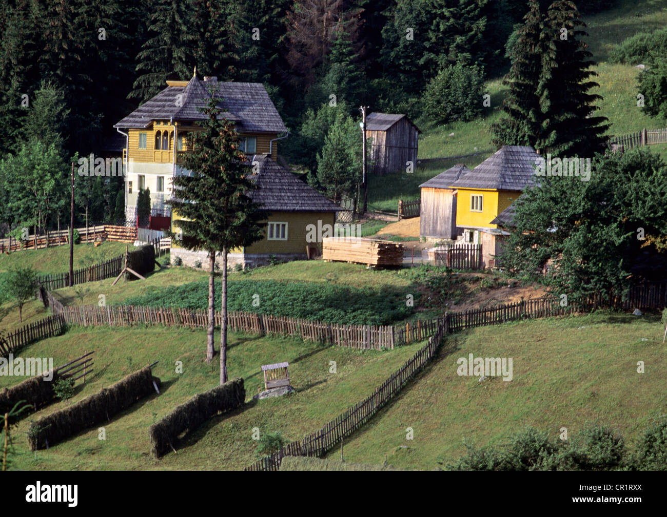 Romania, region of Bukovine, city of Ciocanesti, traditional house Stock Photo