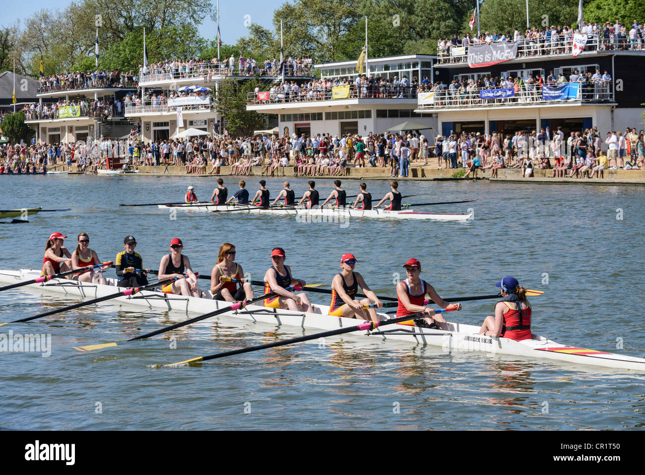 Oxford University Eights Week rowing races final day on the River Thames Stock Photo