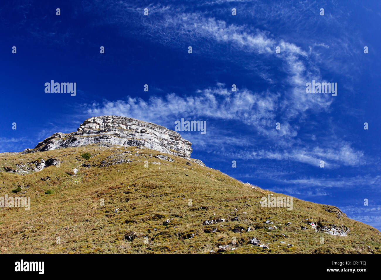 Geological rise of the Gamser Rugg Mountain, geological nature trail, Toggenburg, Canton of St. Gallen, Switzerland, Europe Stock Photo