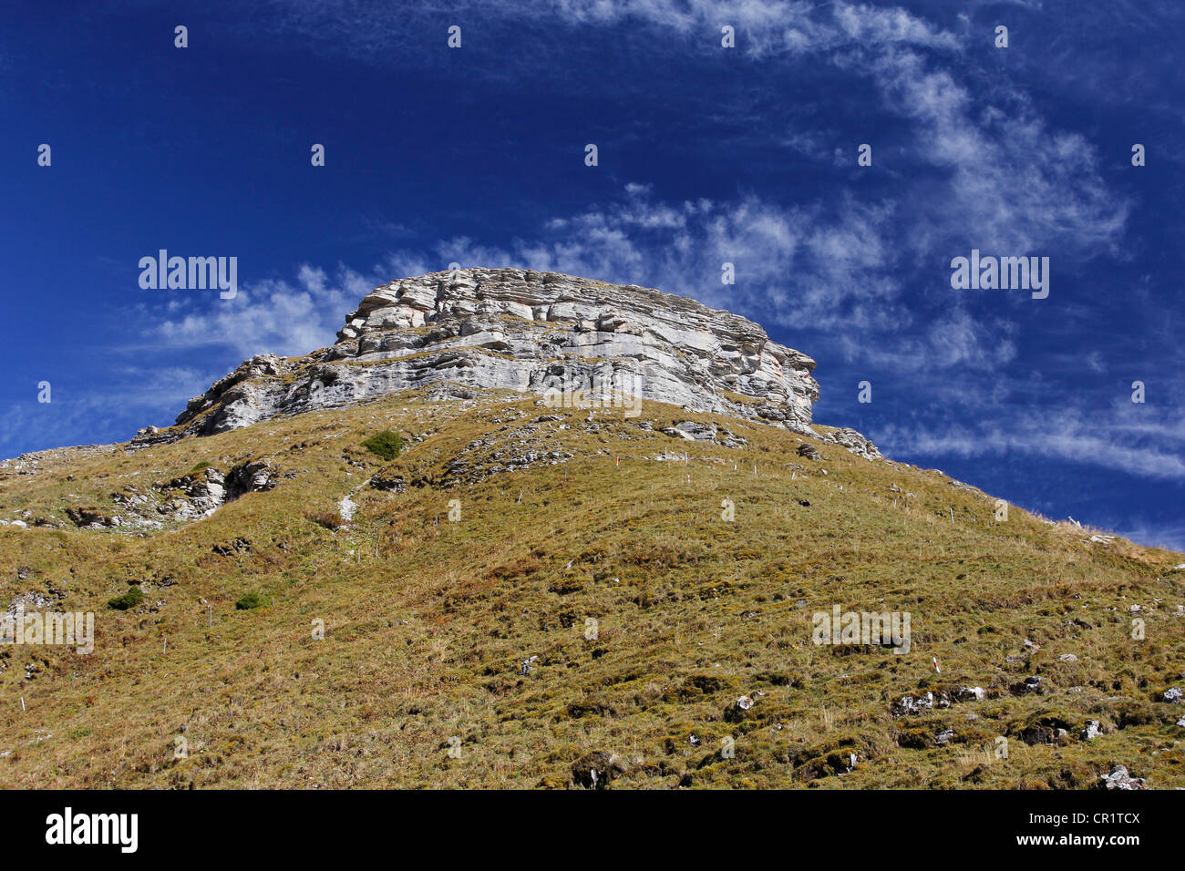 Geological rise of the Gamser Rugg Mountain, geological nature trail, Toggenburg, Canton of St. Gallen, Switzerland, Europe Stock Photo