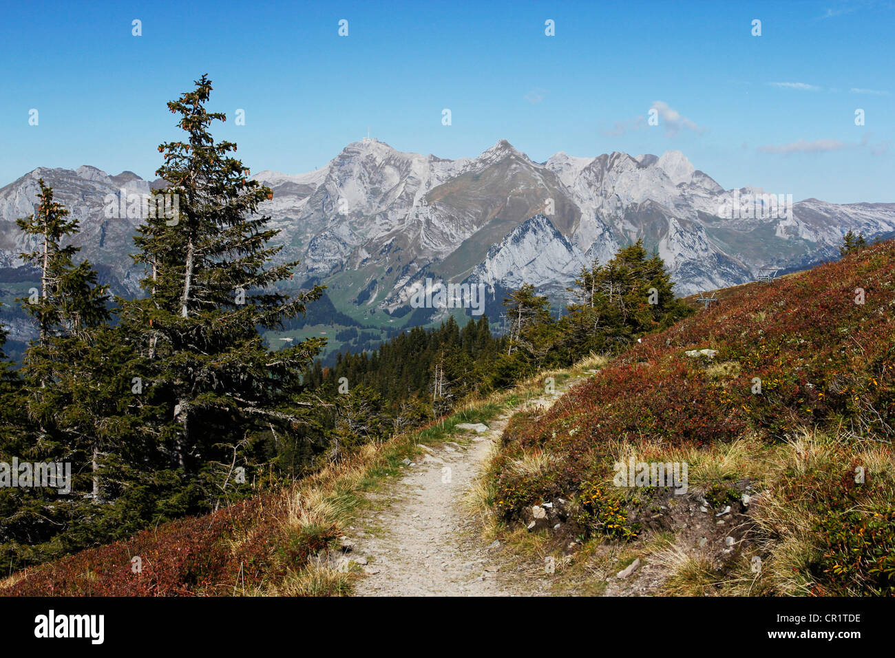 Alpstein panorama with Saentis Mountain seen from the Gamser Rugg Mountain geological nature trail, Toggenburg Stock Photo