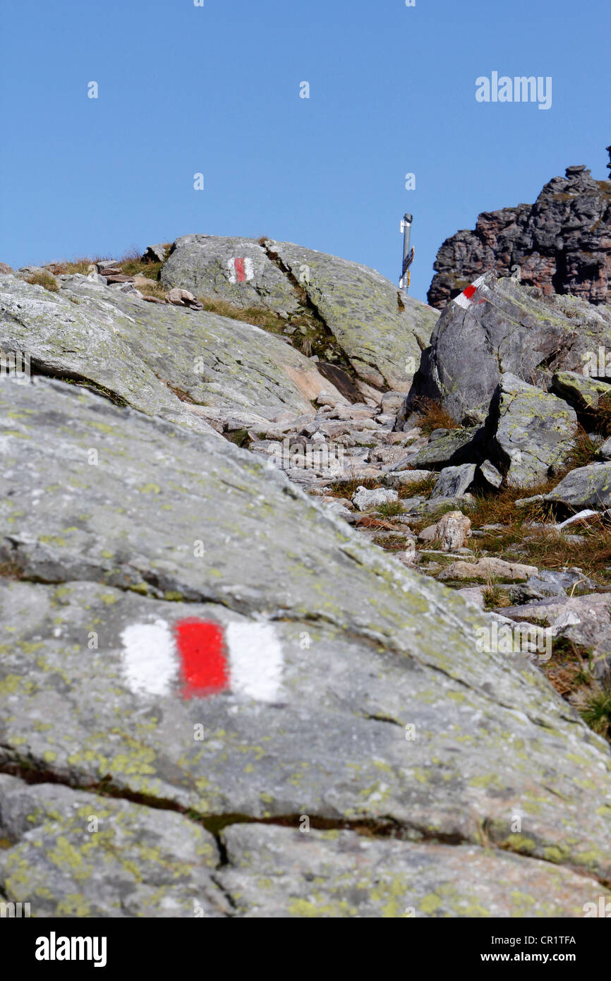 Hiking trail sign on stone in the Alps, Five Lakes Hiking Route, Pizol, Canton of St. Gallen, Switzerland, Europe, PublicGround Stock Photo