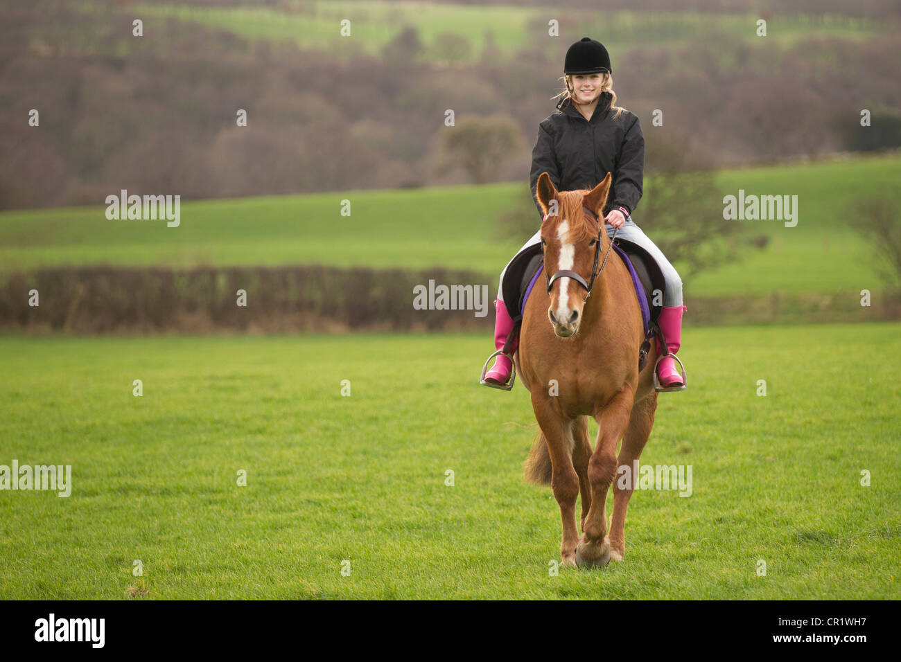 Teenage girl riding horse in field Stock Photo