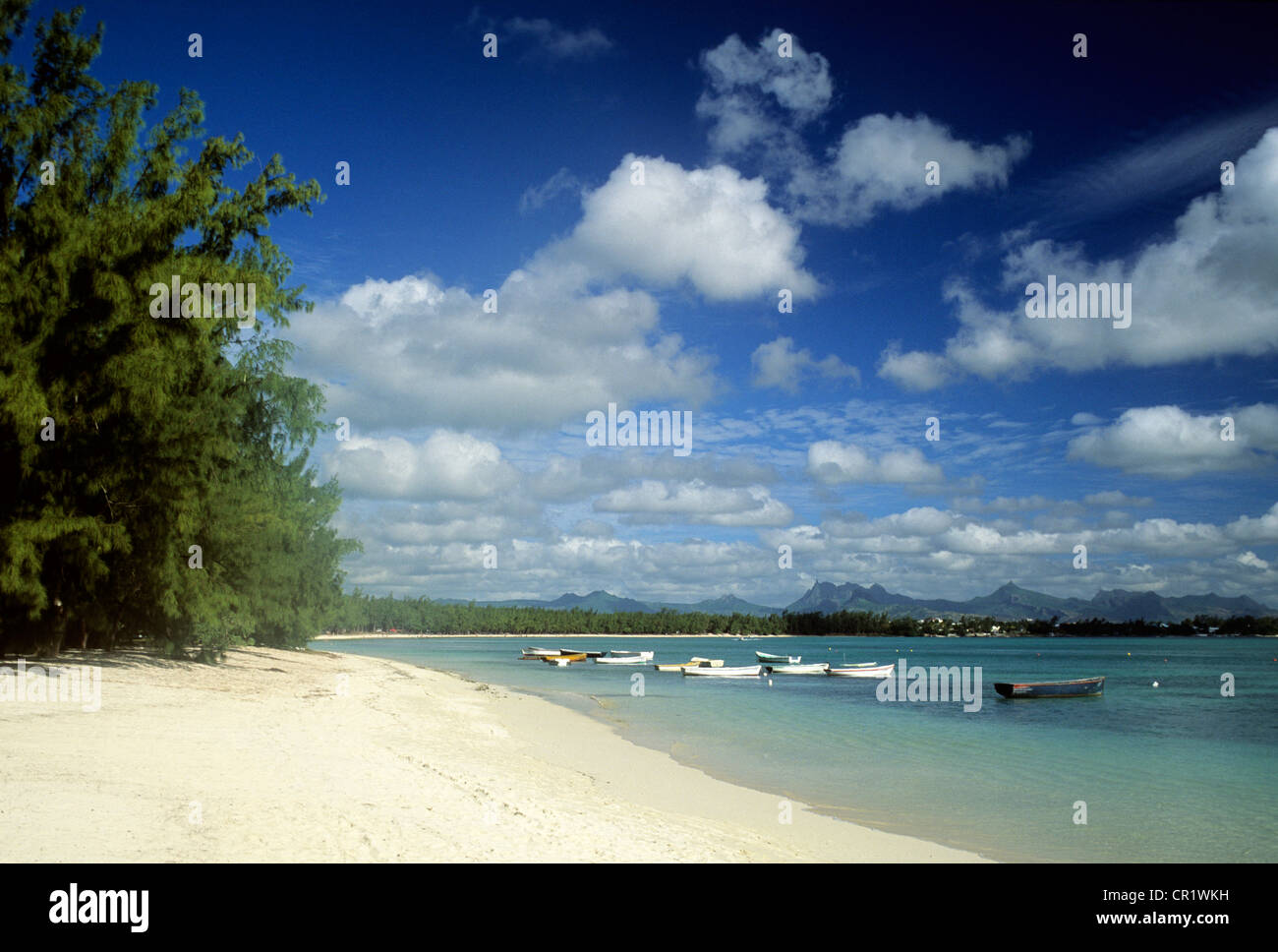 Mauritius, District of Riviere du Rempart, surroundings of Grand Baie