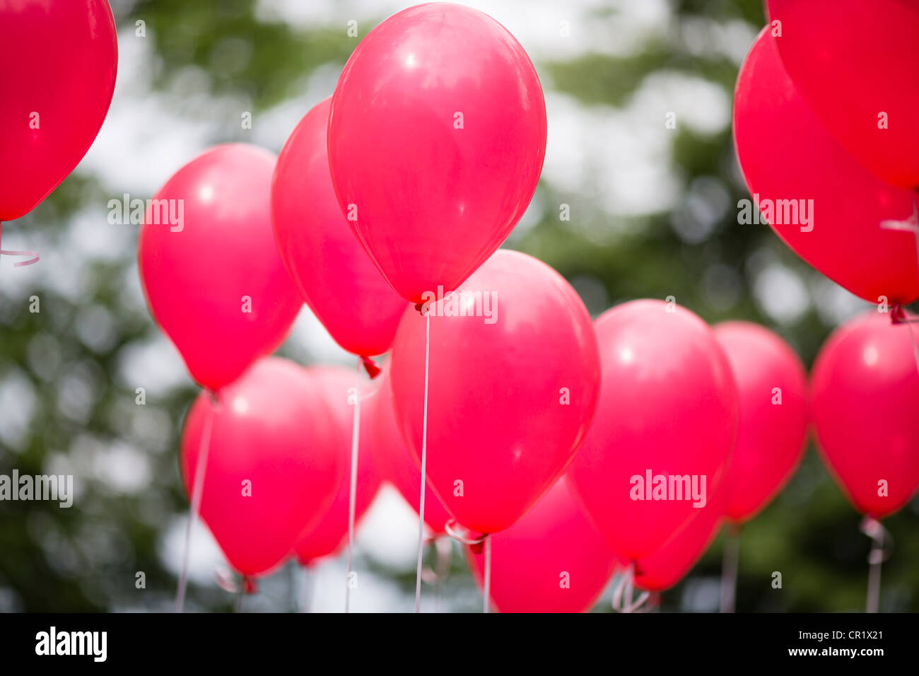 celebration concept with pink balloons on green foliage, selective focus Stock Photo