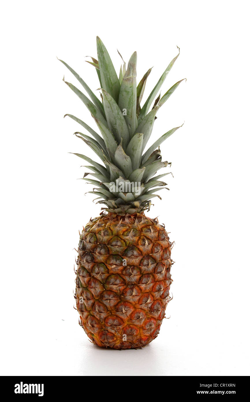Fresh Pineapple standing on a white background Stock Photo