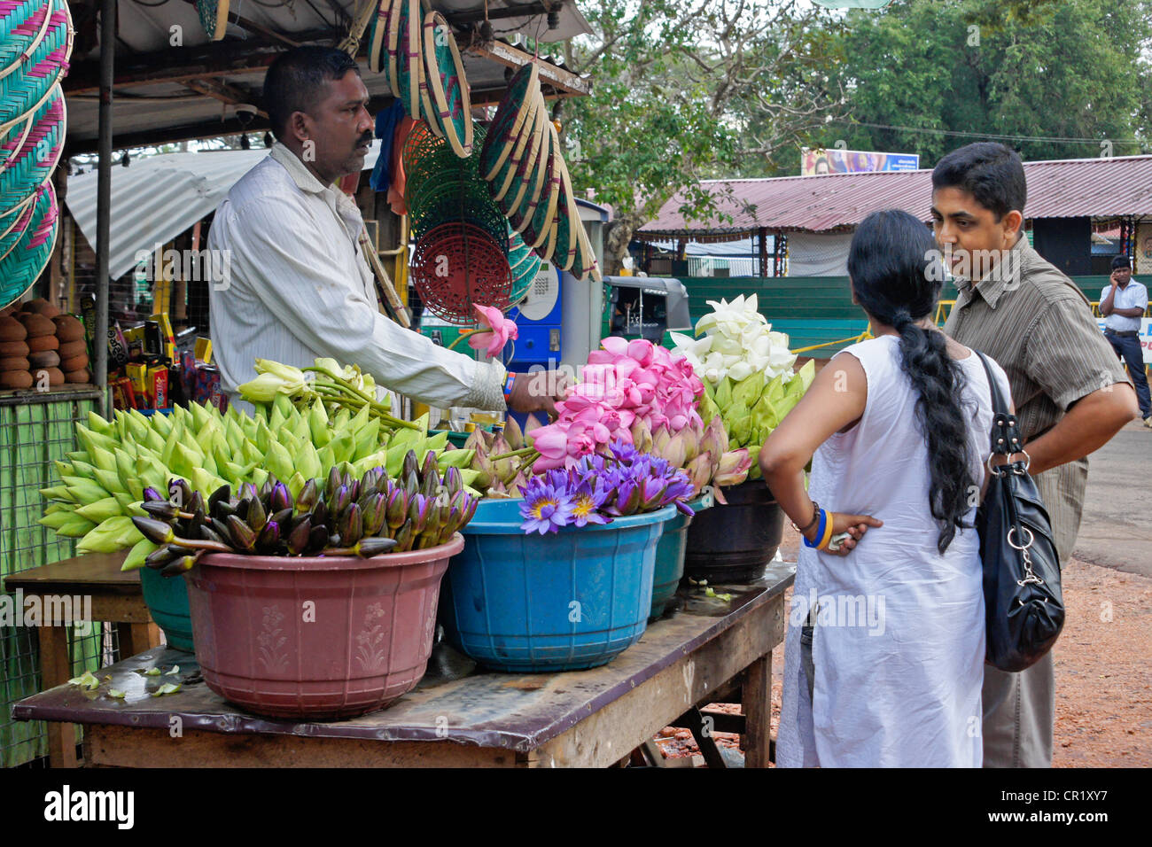 Vendor selling bouquets of lotus flowers to customers, Sri Lanka Stock