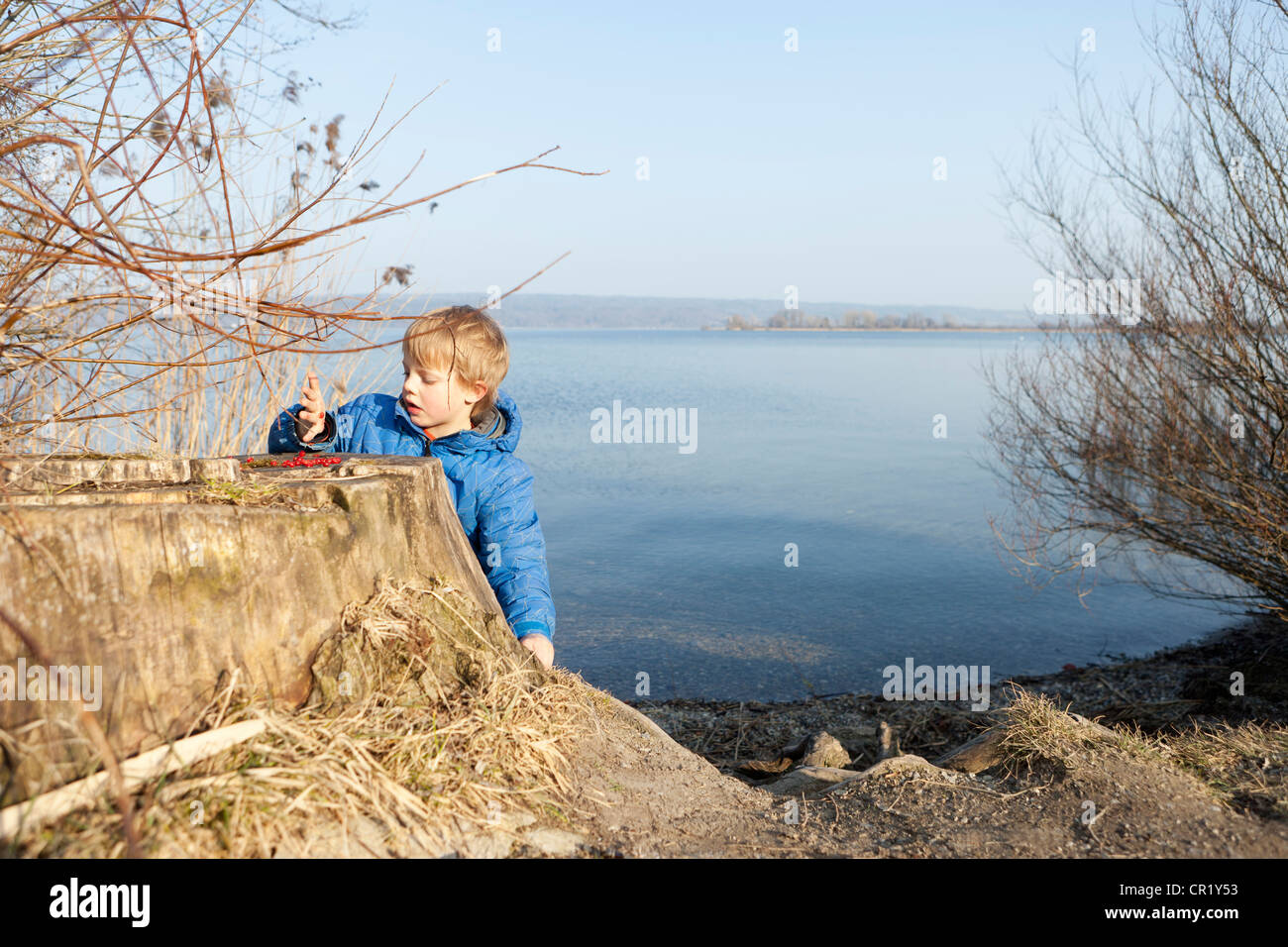 Boy playing with berries by lake Stock Photo