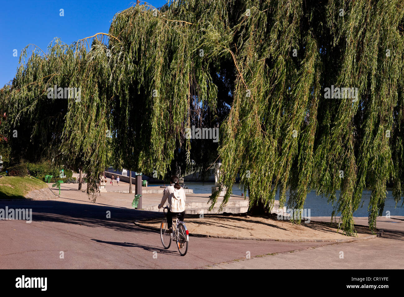 France, Paris, Seine River banks UNESCO World Heritage, quai Saint