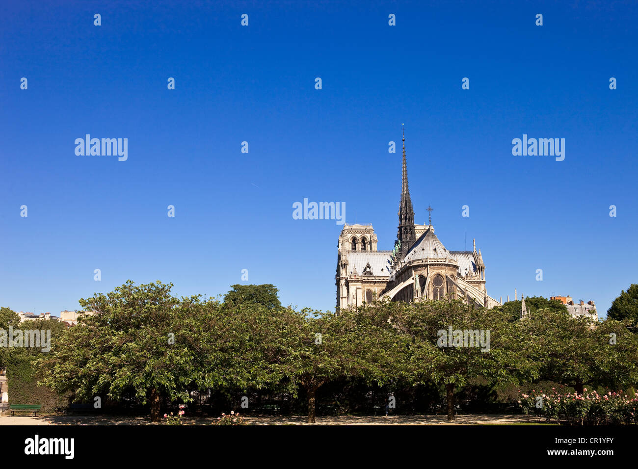 France, Paris, ile de la Cite, NotreDame de Paris cathedral Stock