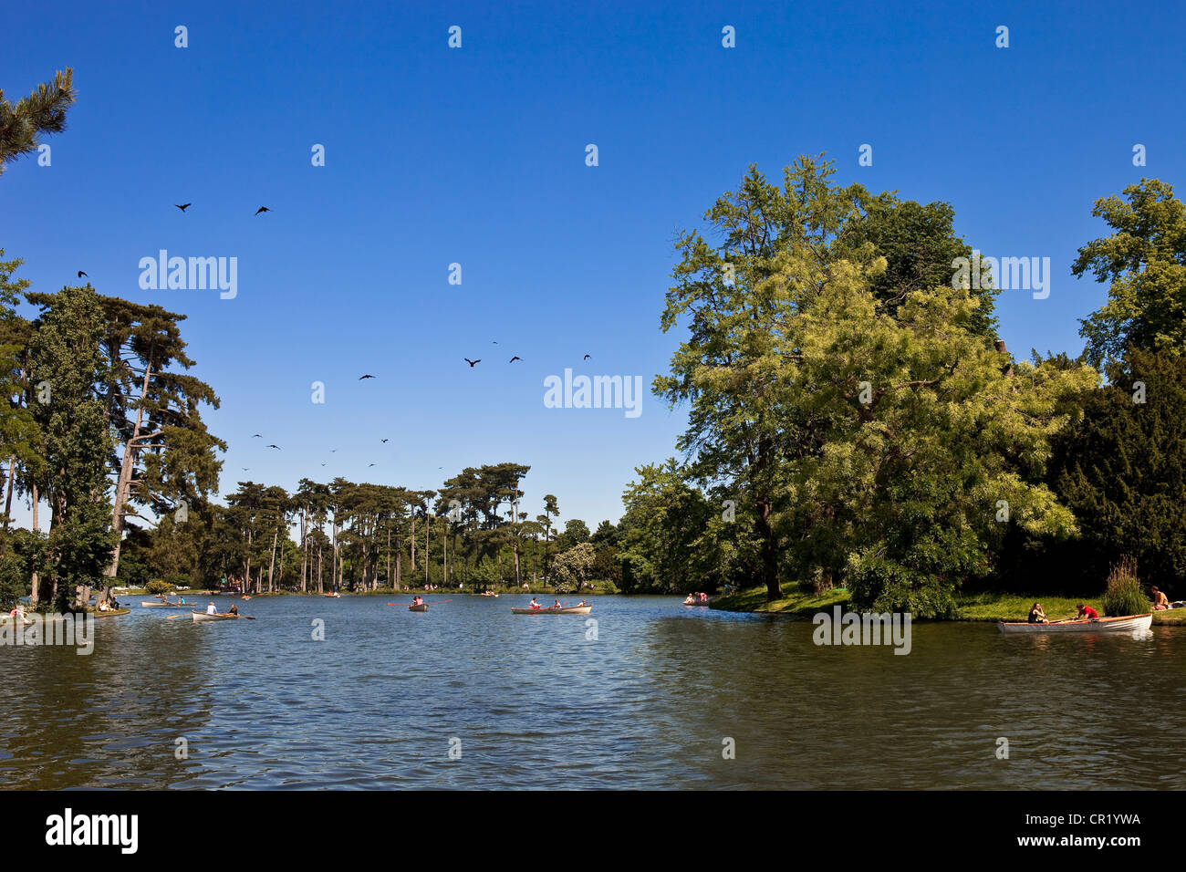 France, Paris, Bois de Boulogne, boat trip on Lac inferieur Stock Photo Alamy