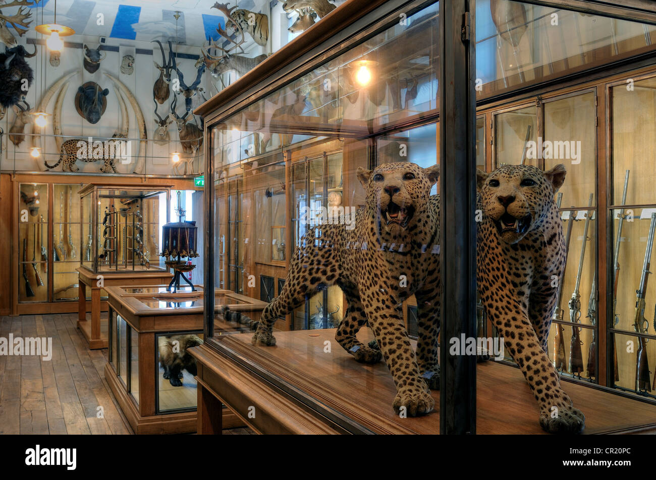 France, Paris, Le Marais District, Musee de la Chasse et de la Nature ...