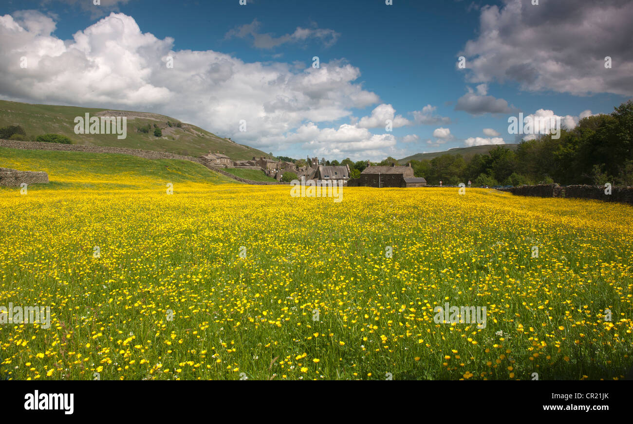 Sunny day in the Yorkshire Dales Stock Photo - Alamy