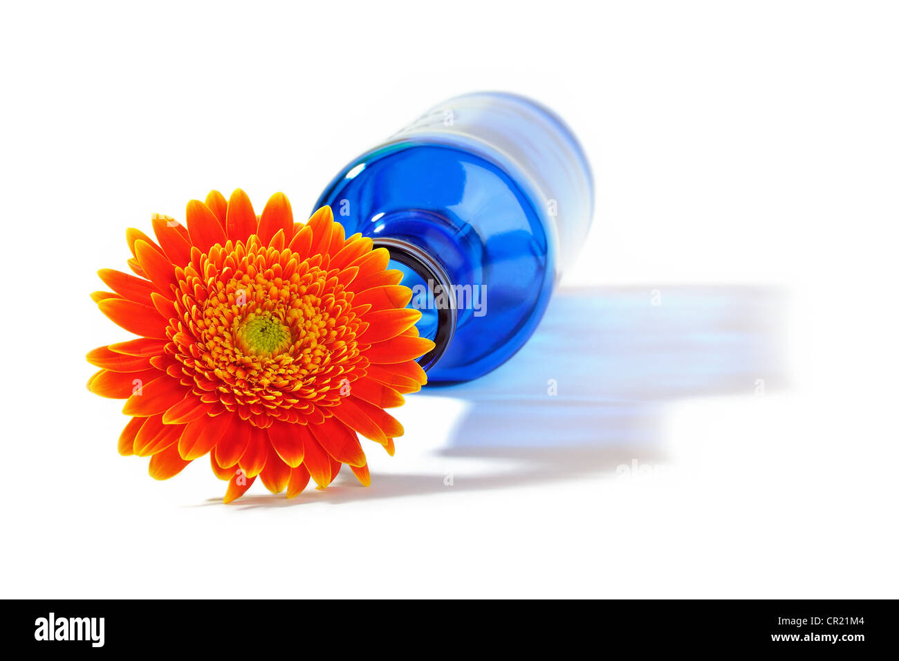 Glass bottle throwing a shadow hires stock photography and images Alamy