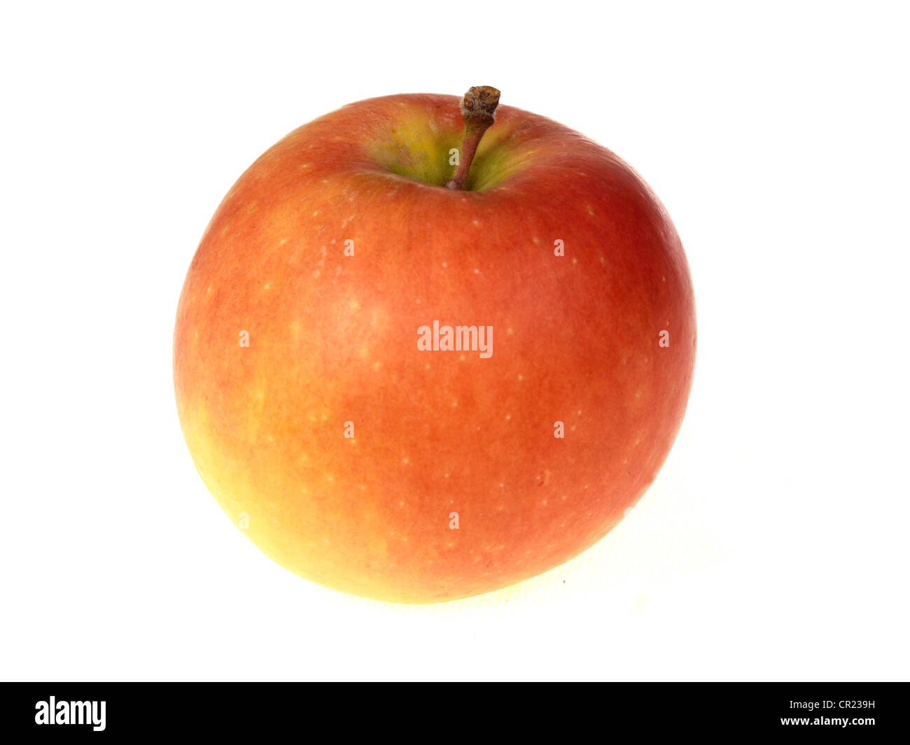 Healthy Ripe Sweet Juicy Red Kanzi Apples Fruit, Isolated Against White