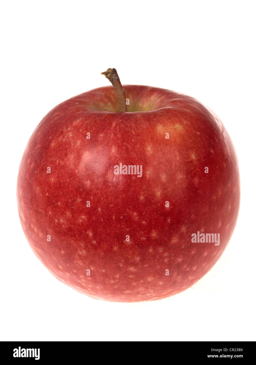 Pink Lady Apples Stock Photo Alamy