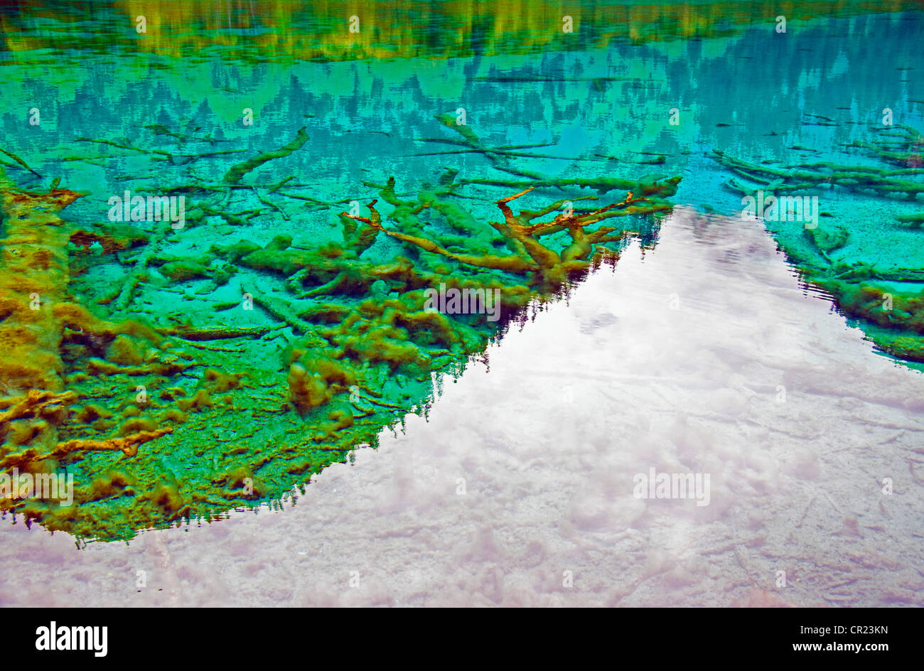 China: Five Flower Lake bottom with white sky reflecting on surface of water in Jiuzhaigou Valley of Sichuan province Stock Photo