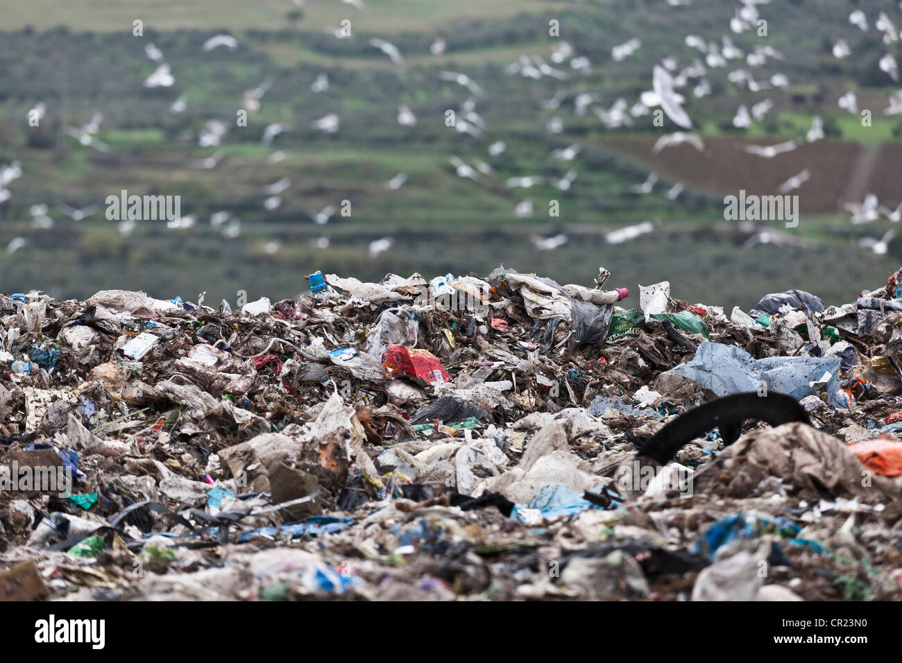 Landfill at garbage collection center Stock Photo