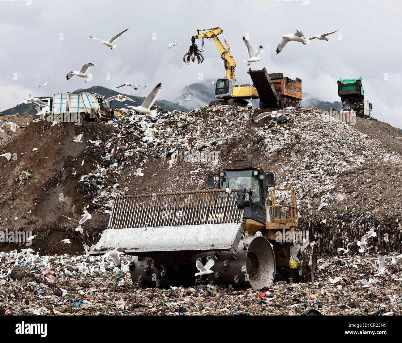 Birds circling garbage collection center Stock Photo
