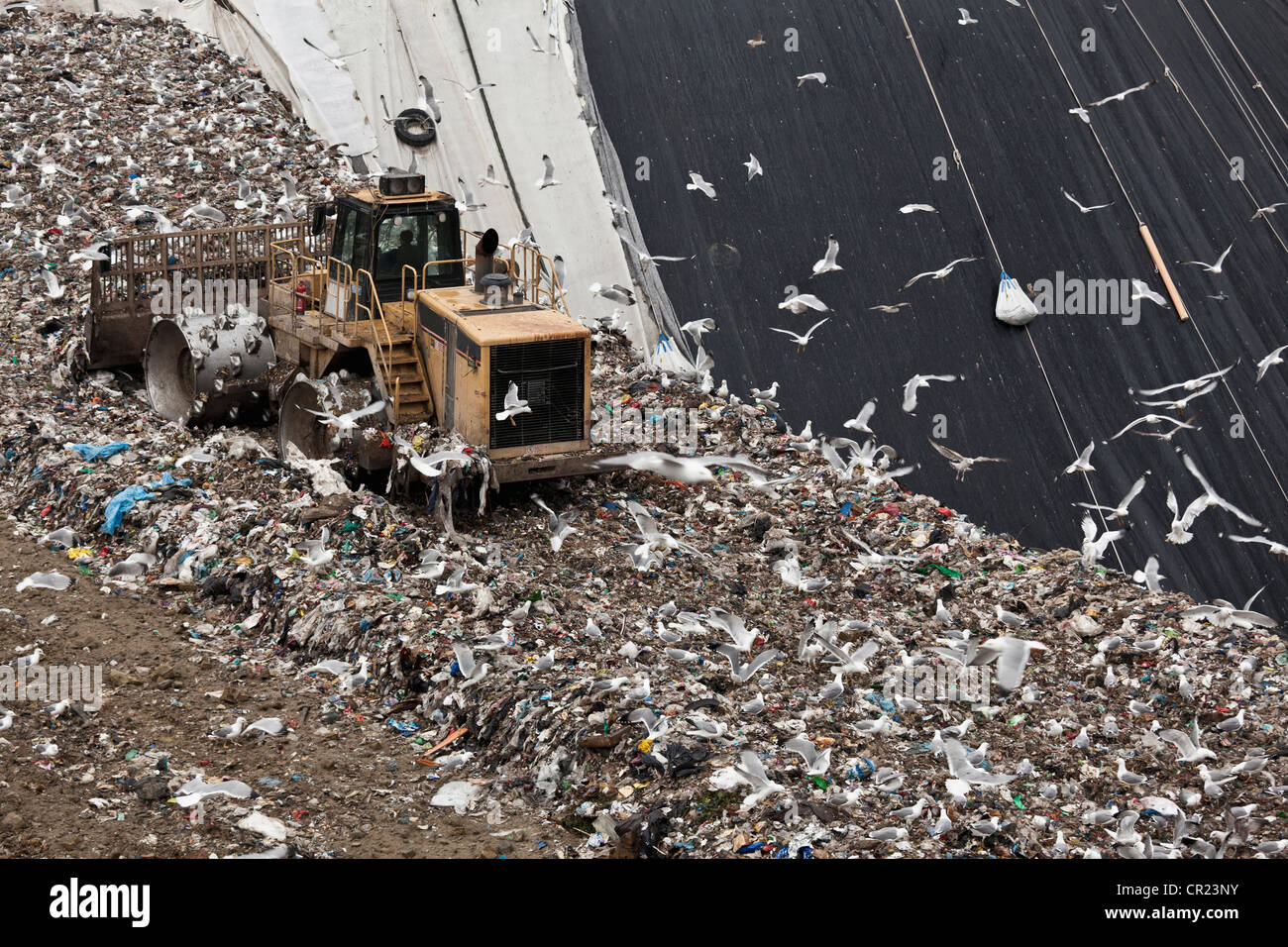 Bulldozer at garbage collection center Stock Photo