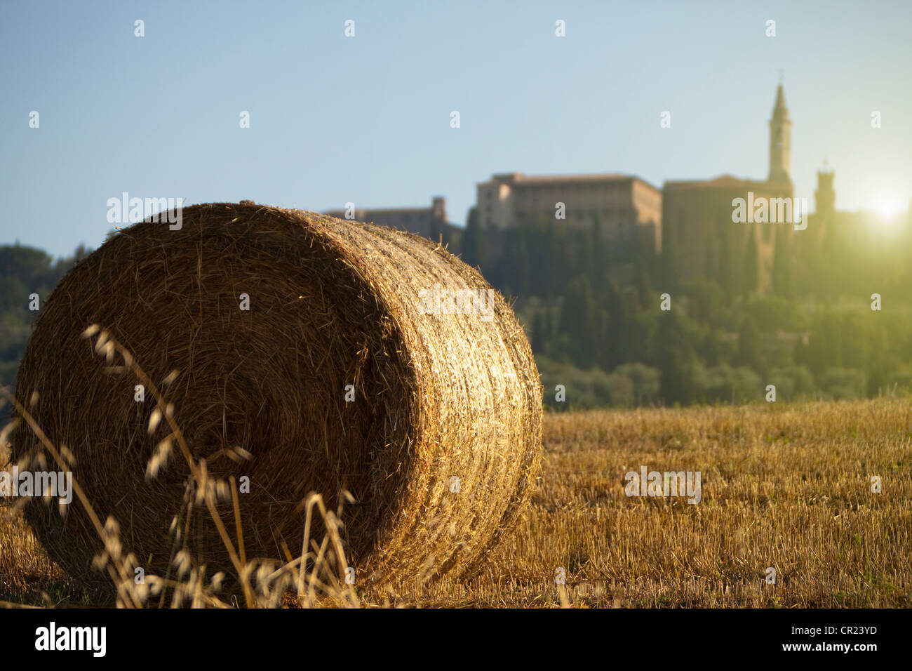 Close up of haybale in crop field Stock Photo