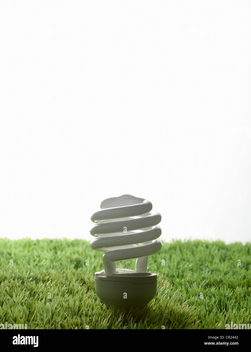 Fluorescent light bulb in grass Stock Photo
