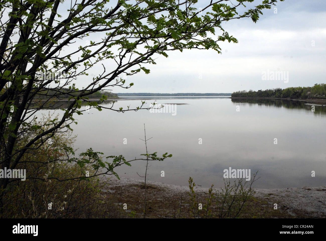 The Waugh River, Looking towards Tatamagouche Bay, Nova Scotia Stock Photo