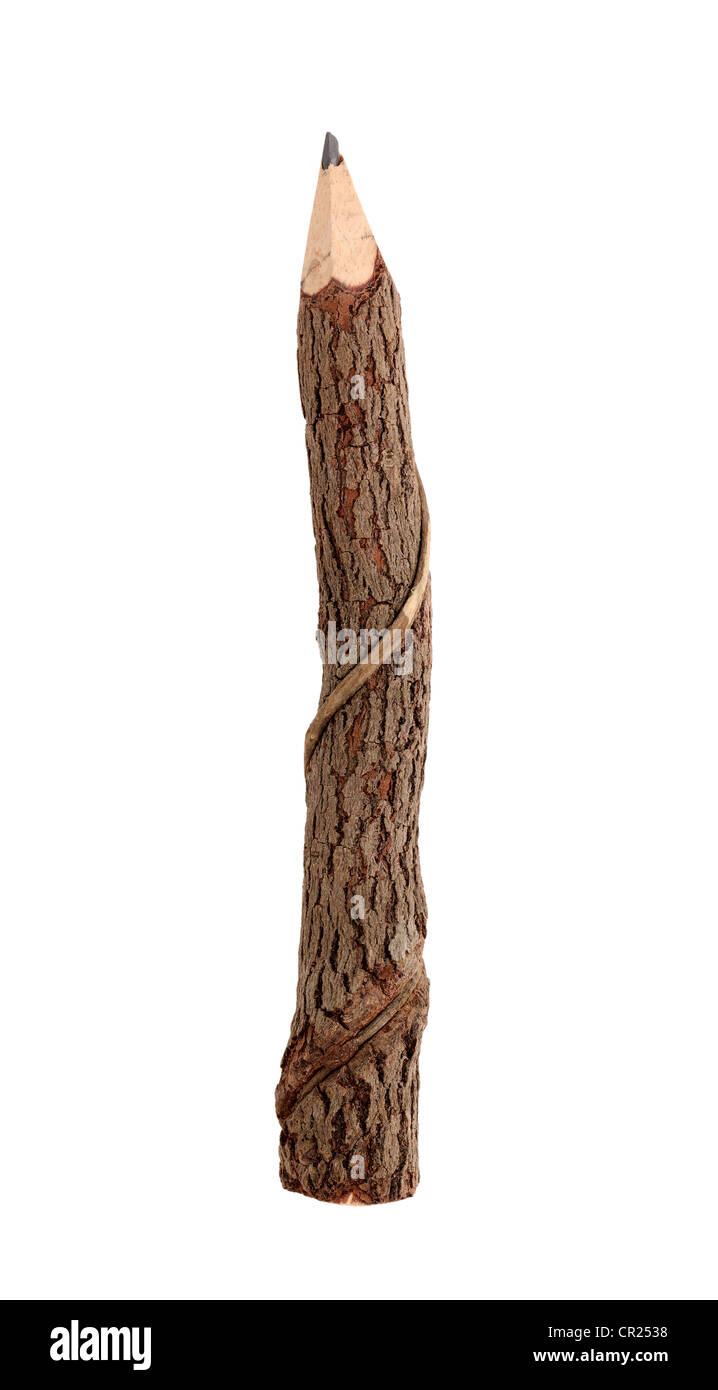 Wooden pencil isolated on white background Stock Photo - Alamy