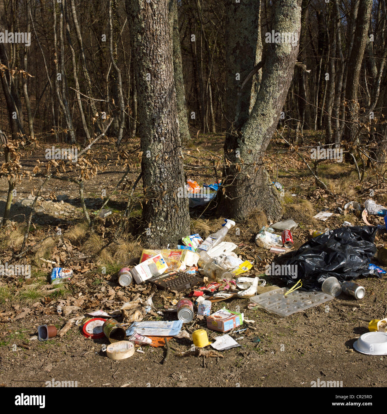 Illegally dumped waste - fly-tipping / fly tipping litter - in a forest. Stock Photo