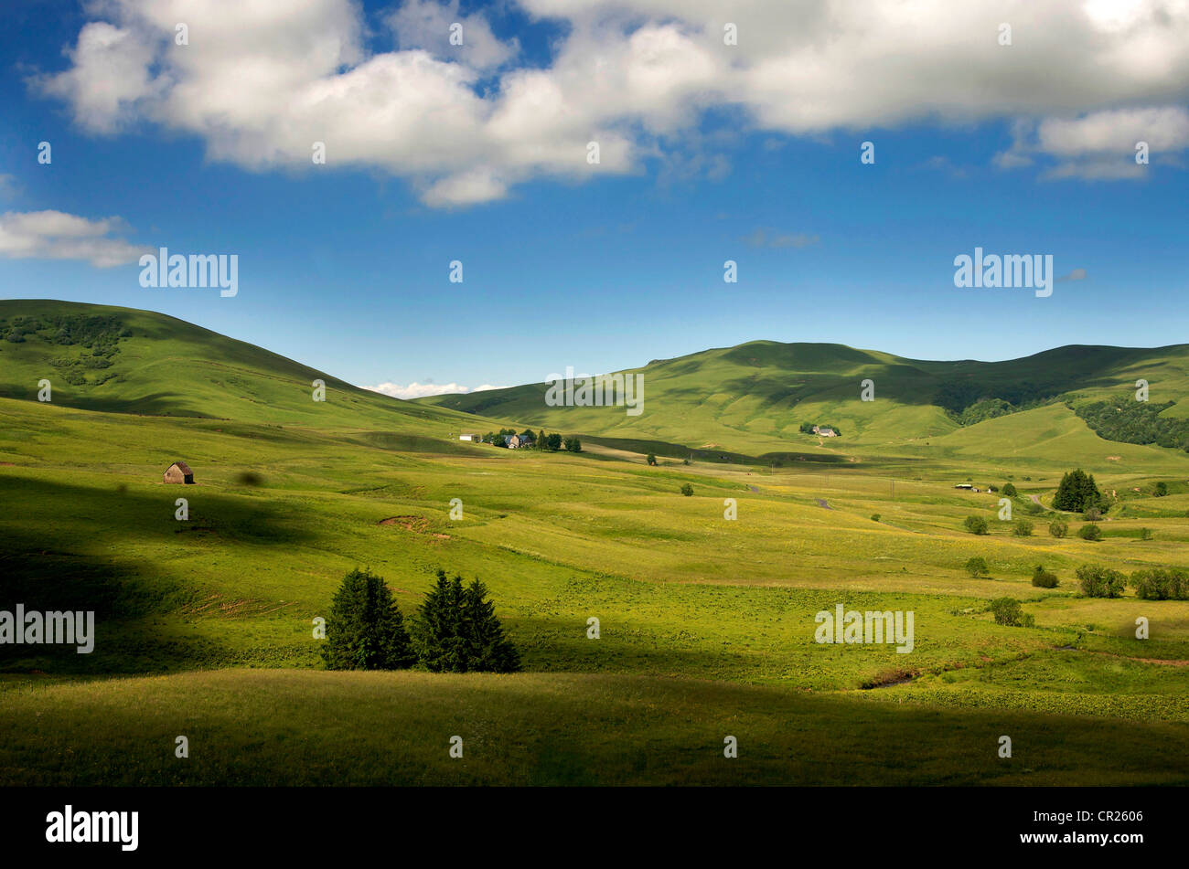 Scenic landscape of meadows and rolling hills of Cezallier, Auvergne, France, Europe Stock Photo