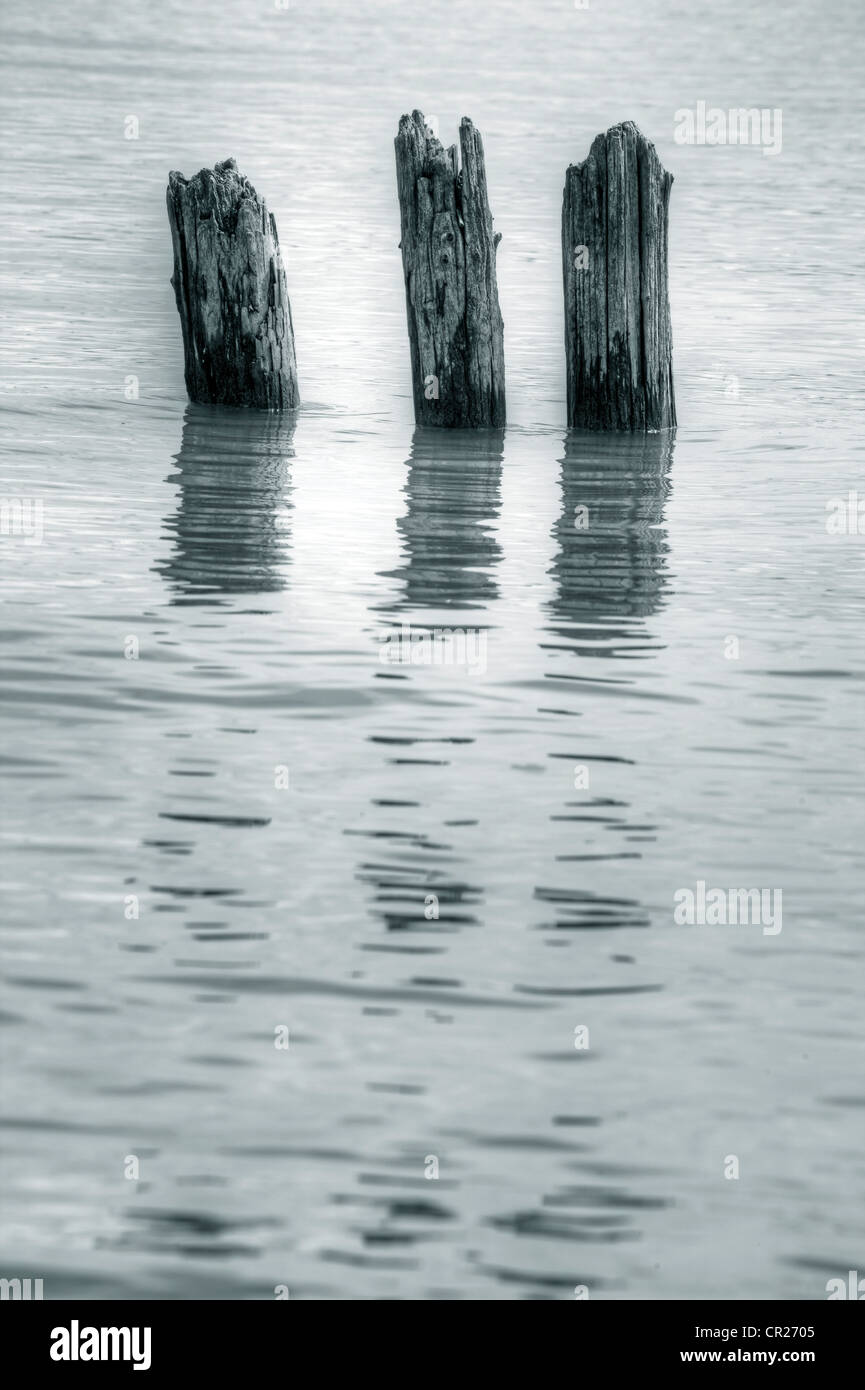 three broken wooden piles in a lake Stock Photo