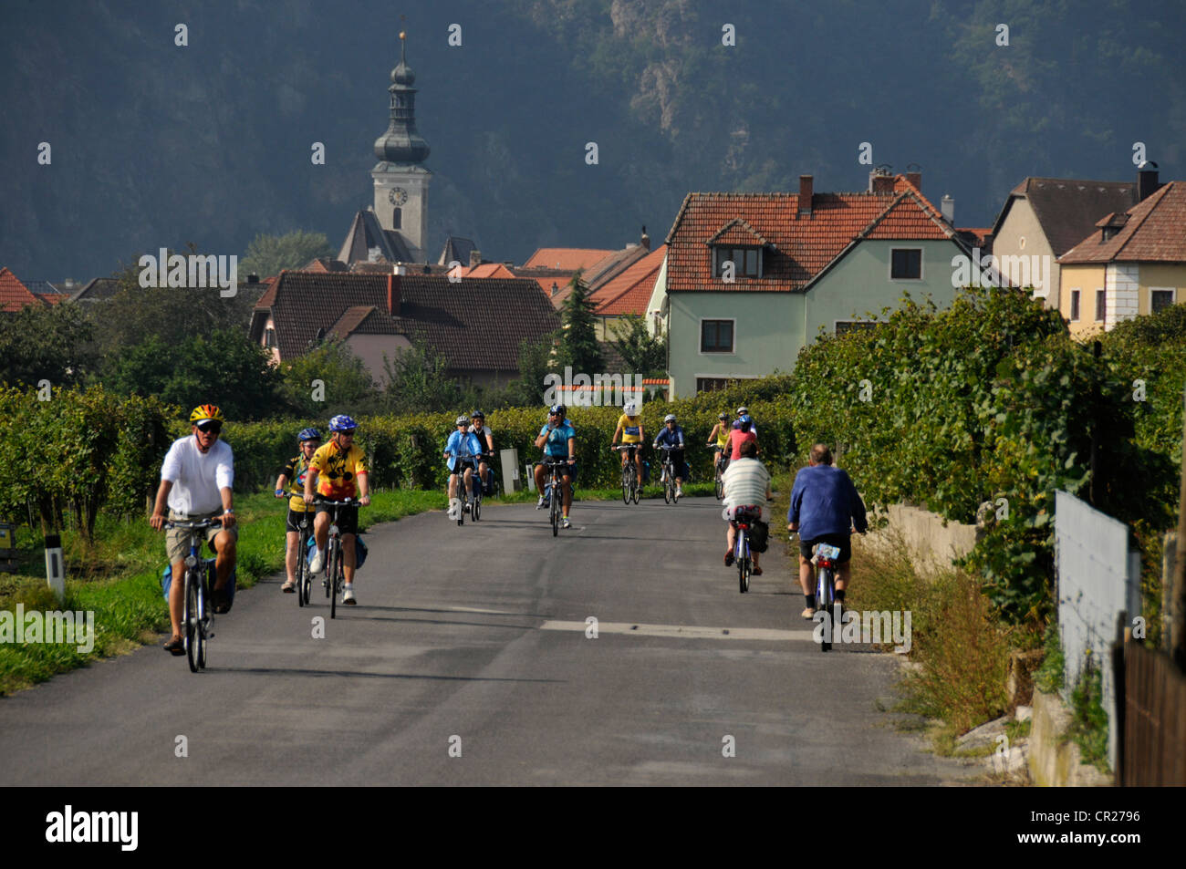 A group of cyclists on a cycling tour leaving Unterloiben village in the Wachau valley in Lower Austria, Austria Stock Photo